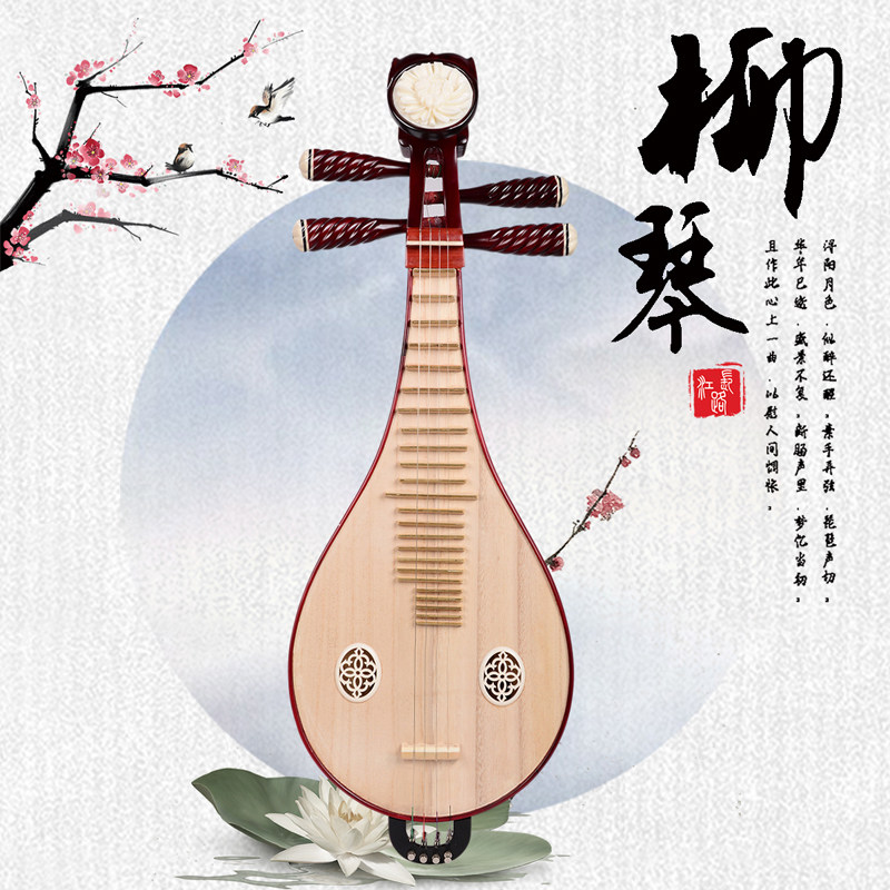 Musical Instrument ____ - Professionele uitvoering & examen Liuqin van