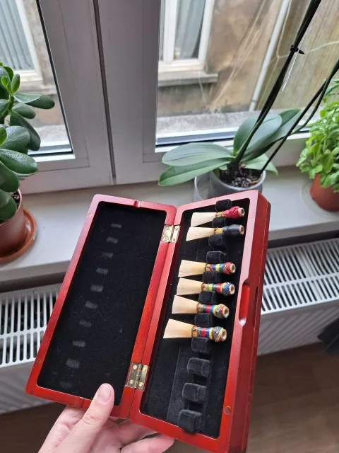 1 stuks fagotriet opbergkoffer - Musical Instrument Bassoon recensie en prijs