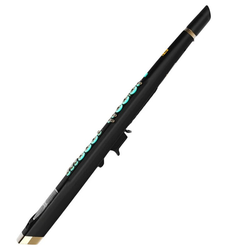 C20 true sampling huishoudelij - Musical Instrument That You Blow Into recensie en prijs