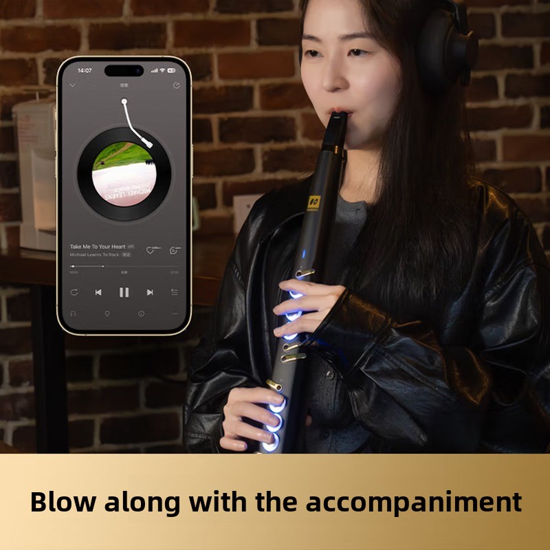C20 true sampling huishoudelij - Musical Instrument That You Blow Into recensie en prijs