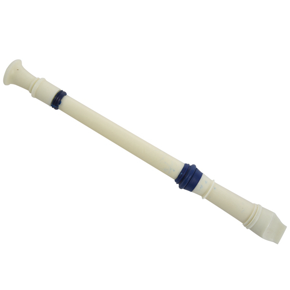 FSTE-2X Muziekinstrument 6-gaa - Musical Instrument A Recorder recensie en prijs