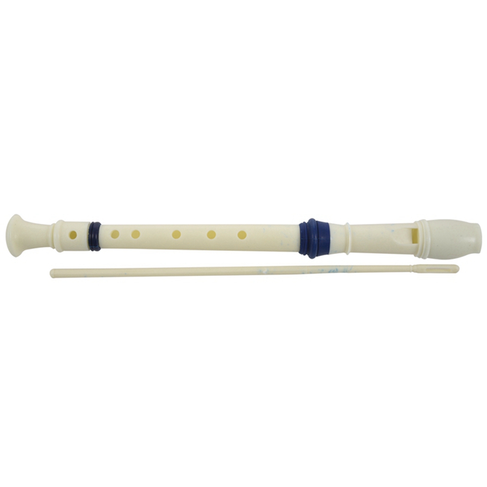 FSTE-2X Muziekinstrument 6-gaa - Musical Instrument A Recorder recensie en prijs