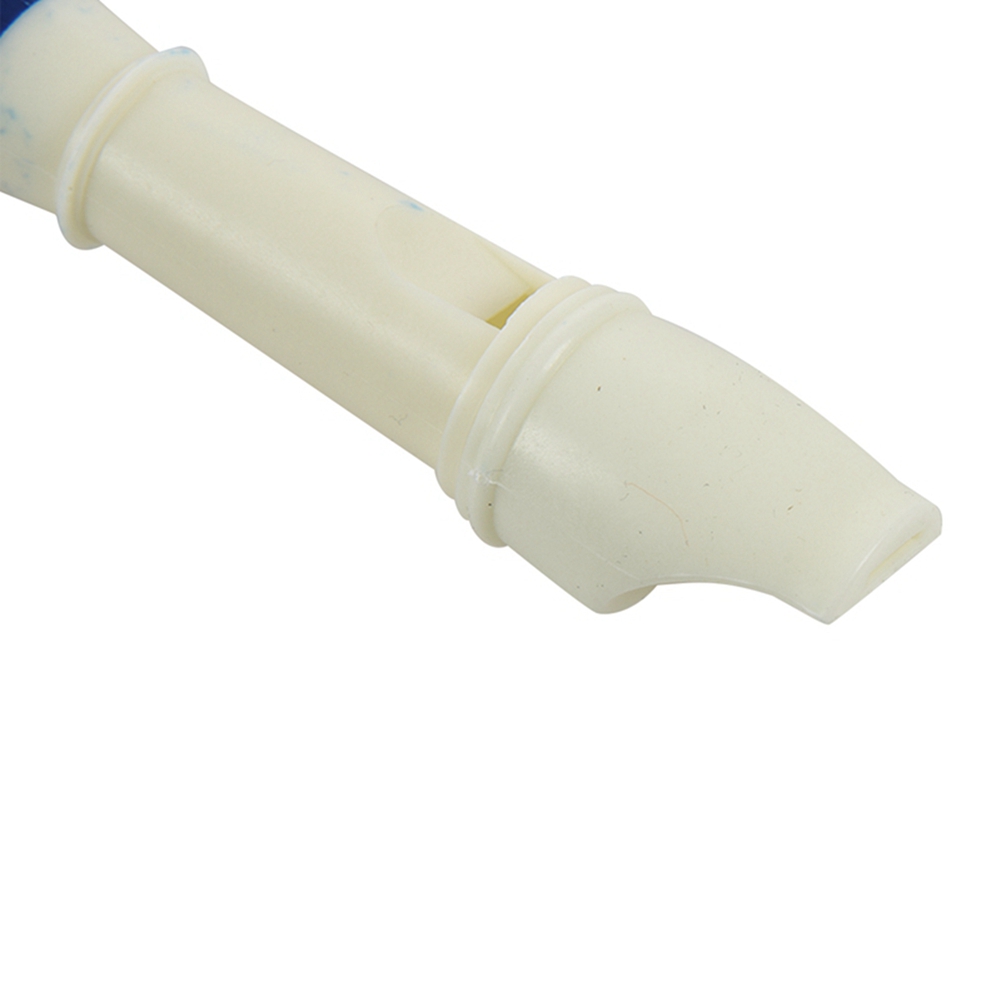 FSTE-2X Muziekinstrument 6-gaa - Musical Instrument A Recorder recensie en prijs