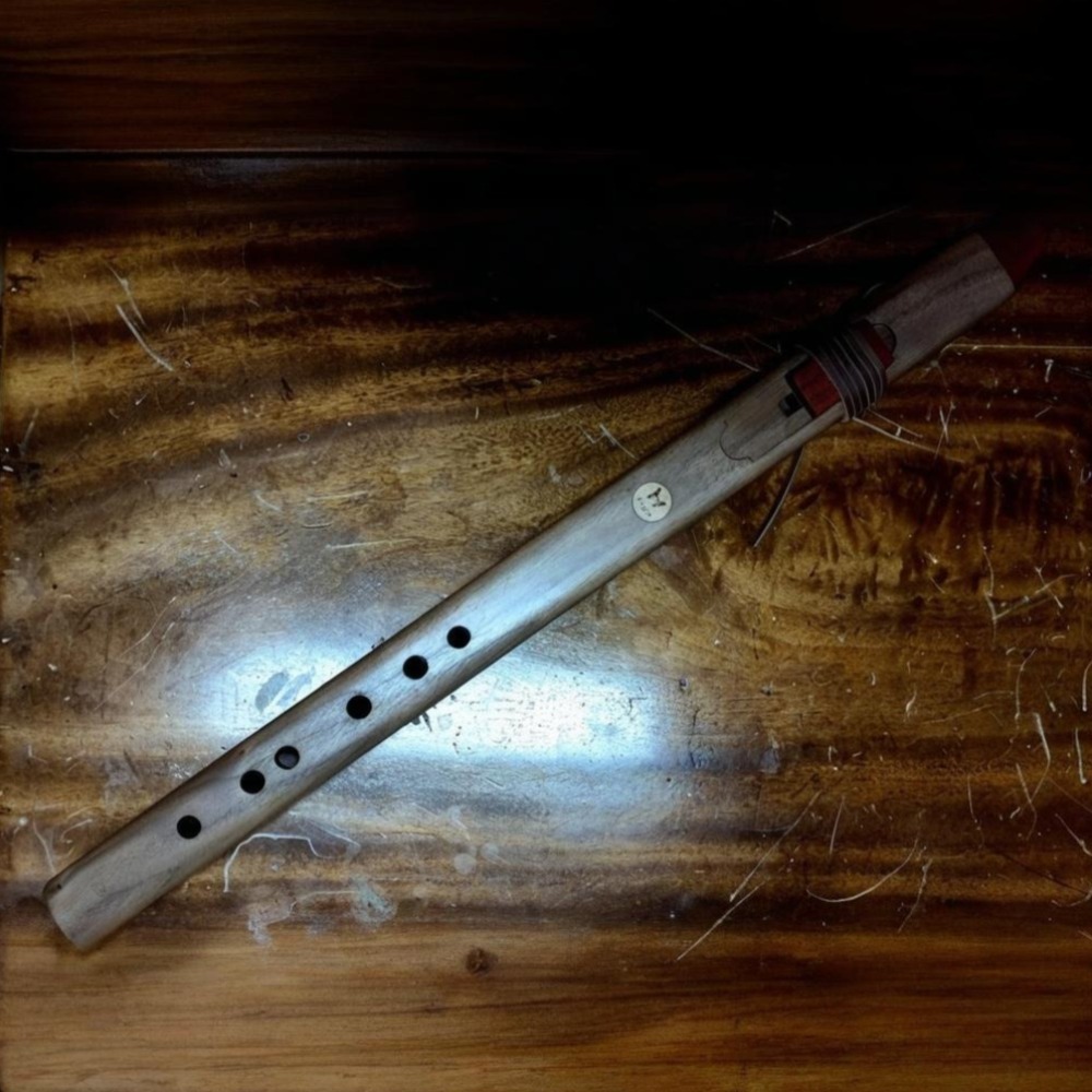 B/C/D/E/F Tone Houten Vertical - Musical Instrument A Recorder recensie en prijs