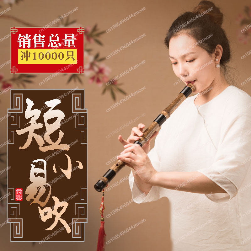 Professionele speelgatfluit éé - Musical Instrument That You Blow Into recensie en prijs