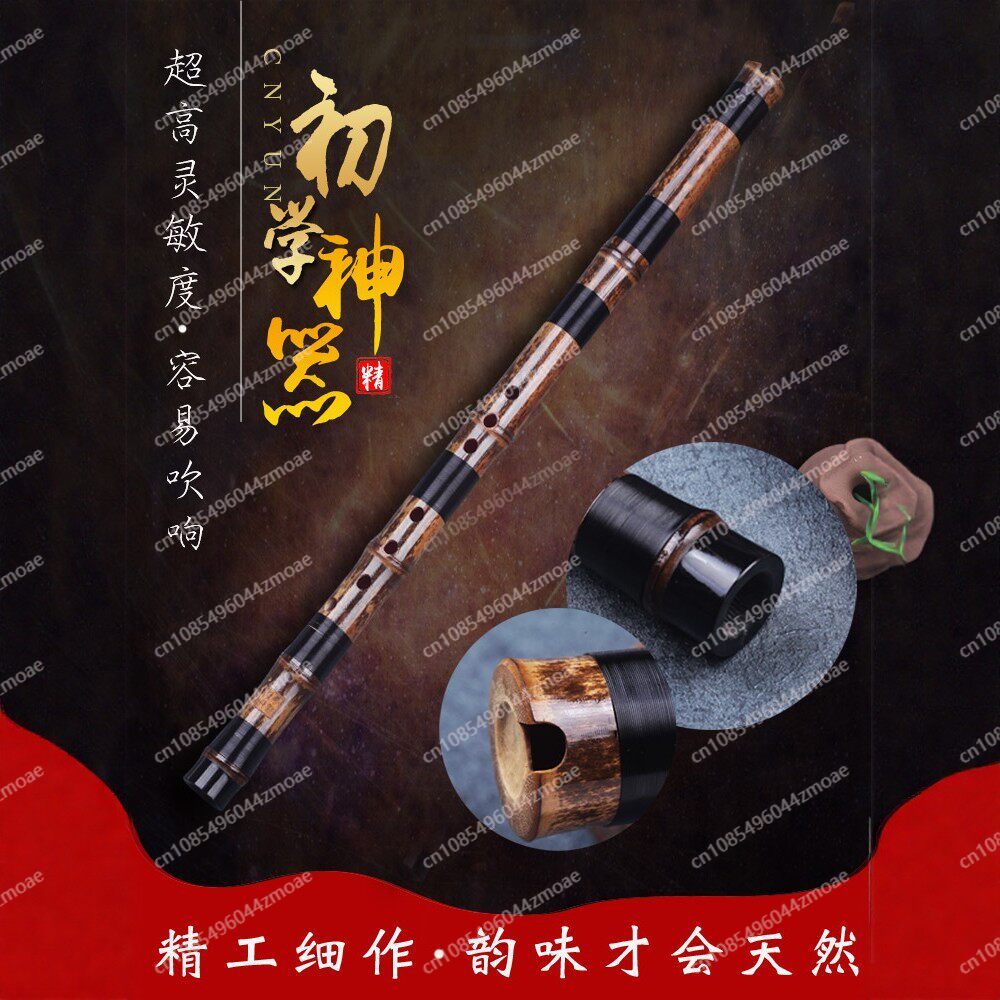 Professionele speelgatfluit éé - Musical Instrument That You Blow Into recensie en prijs