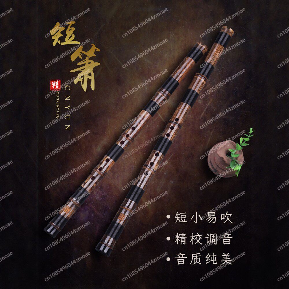 Professionele speelgatfluit éé - Musical Instrument That You Blow Into recensie en prijs
