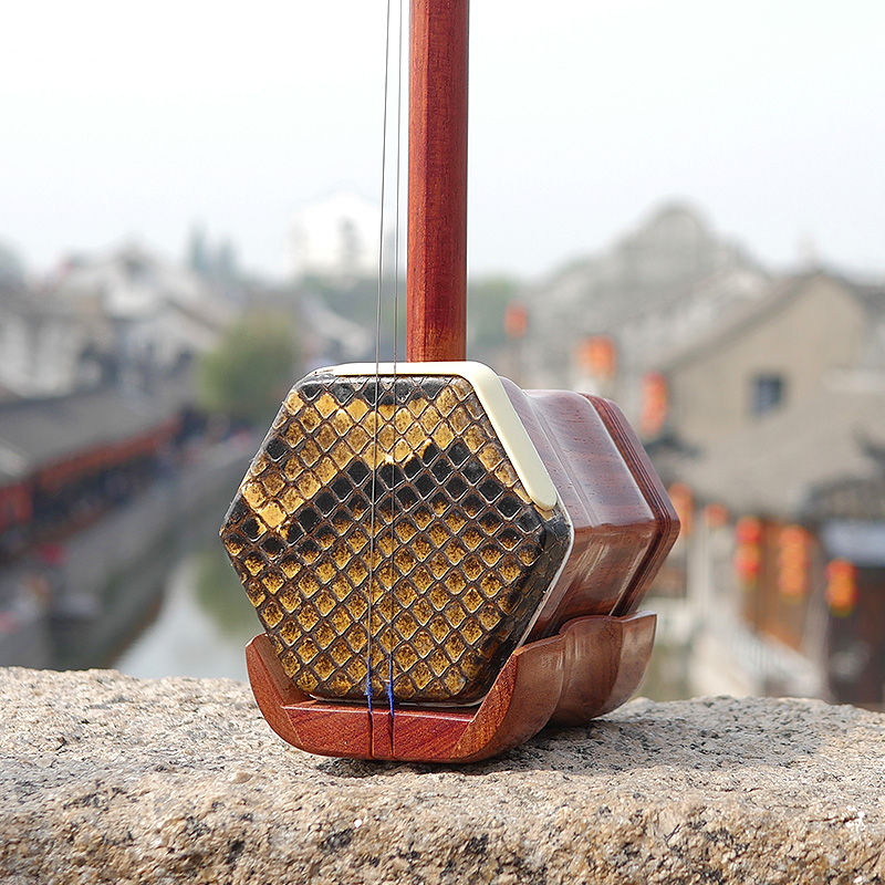 Professionele Dunhuang Merk 06 - Musical Instrument All recensie en prijs