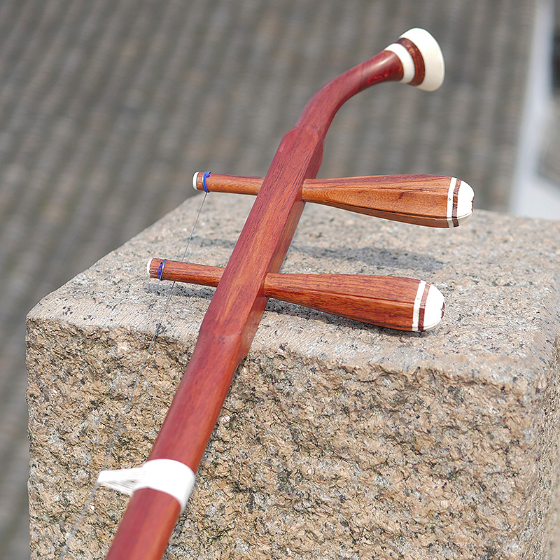 Professionele Dunhuang Merk 06 - Musical Instrument All recensie en prijs