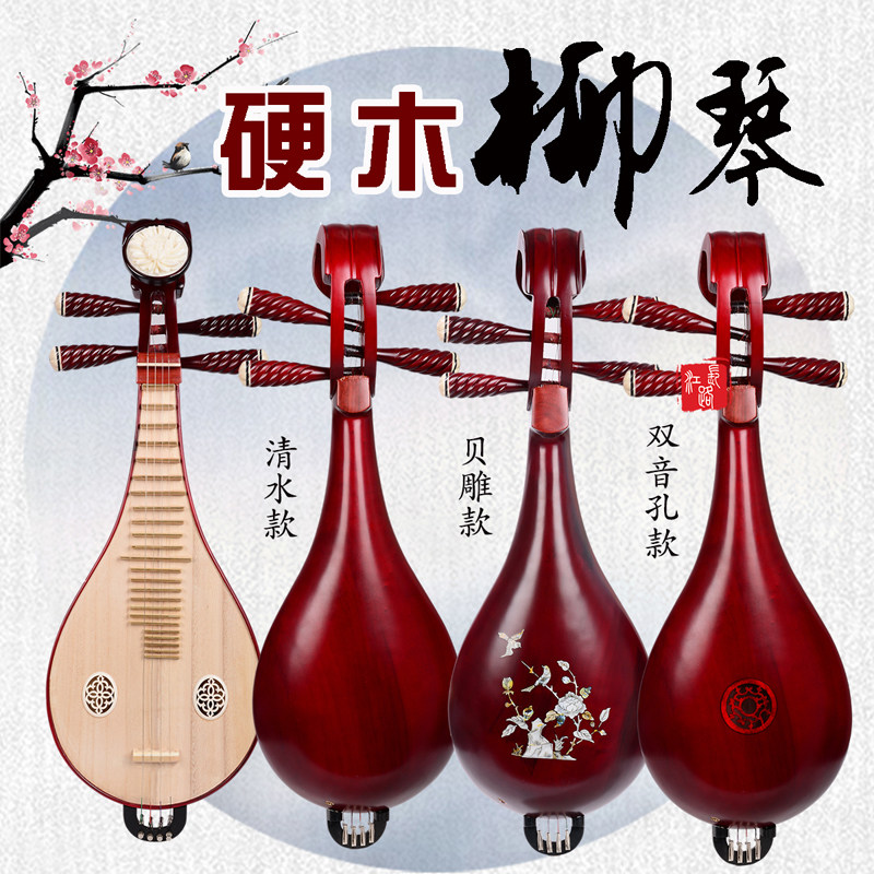 Professionele uitvoering & exa - Musical Instrument ____ recensie en prijs
