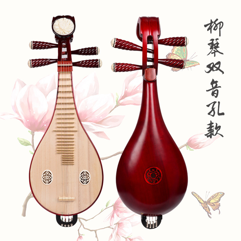 Professionele uitvoering & exa - Musical Instrument ____ recensie en prijs