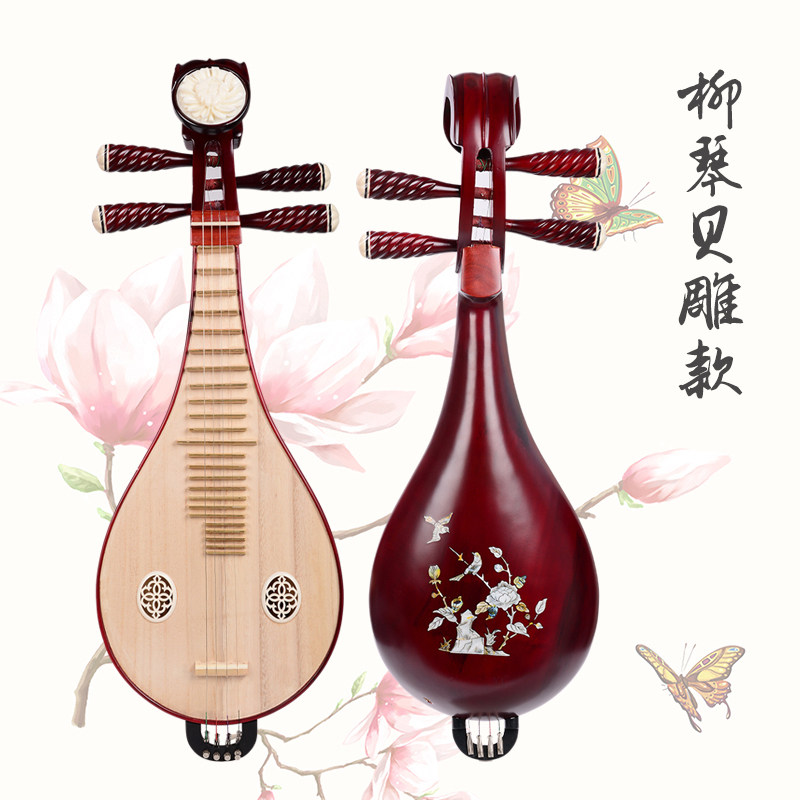 Professionele uitvoering & exa - Musical Instrument ____ recensie en prijs