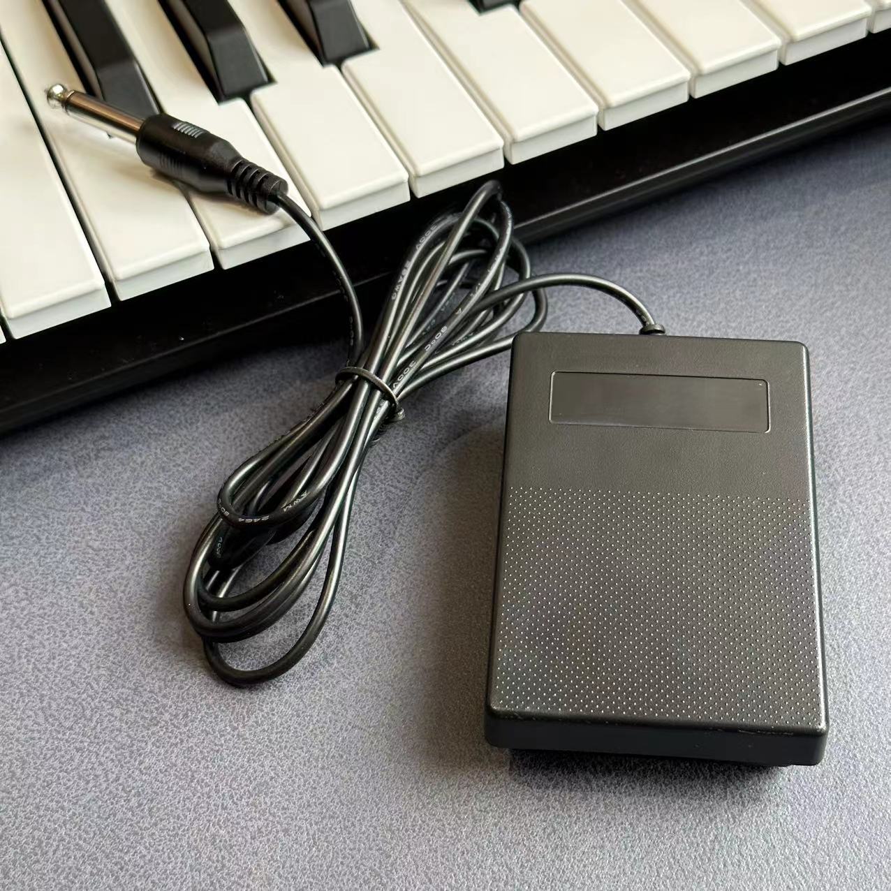 Compact Sustainpedaal voor toe - Musical Instrument Synthesizer recensie en prijs