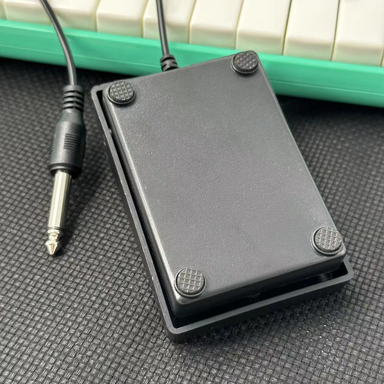 Compact Sustainpedaal voor toe - Musical Instrument Synthesizer recensie en prijs