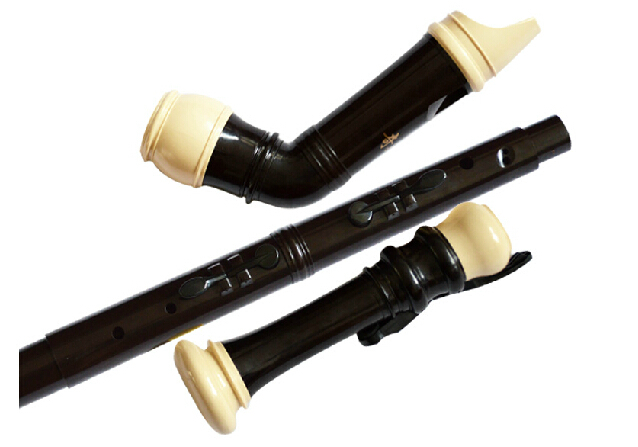 Professionele 8-gaats barokke  - Musical Instrument A Recorder recensie en prijs
