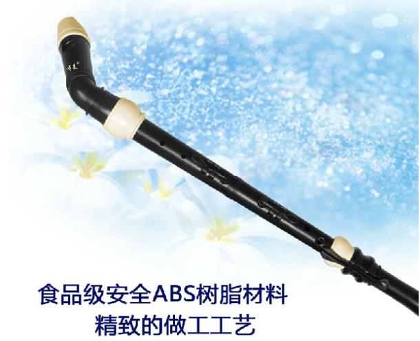 Professionele 8-gaats barokke  - Musical Instrument A Recorder recensie en prijs