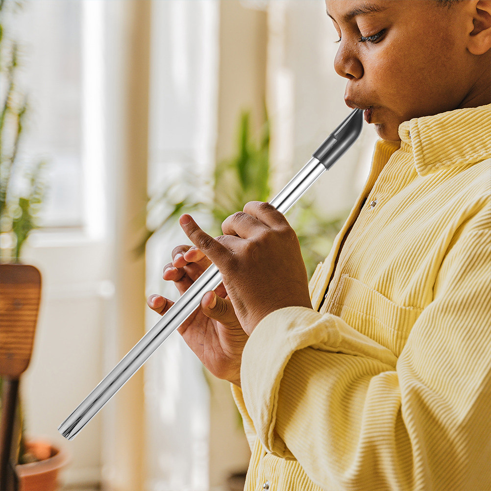 Metalen sopraanblokfluit in D- - Musical Instrument A Recorder recensie en prijs