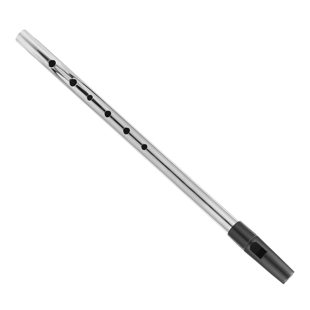 Metalen sopraanblokfluit in D- - Musical Instrument A Recorder recensie en prijs