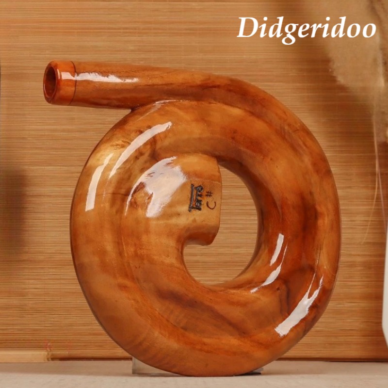 Spiraalvormige Didgeridoo Hout - Musical Instrument Didgeridoo recensie en prijs