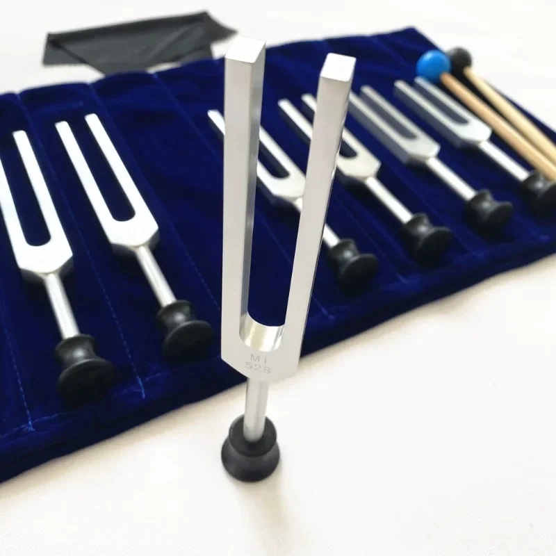 Cameroon Stemvork Set Medische - Musical Instrument Synthesizer recensie en prijs